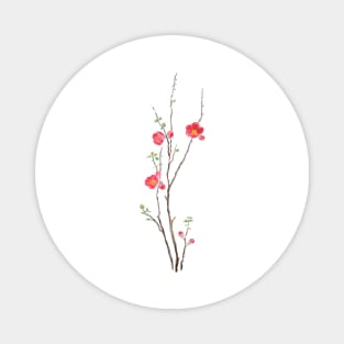 red winter plum watercolor flowers Magnet